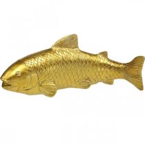 Decoratieve vis om neer te zetten, vissculptuur polyresin goud groot L25cm