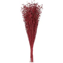 Artikel Vlas Bordeaux Rode Gedroogde Decoratie Gedroogde Bloemen L55cm 80g