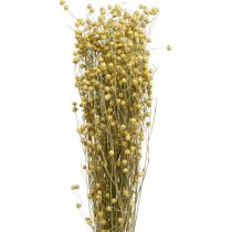Vlas natuurlijke grassen voor droge bloemisterij 100g
