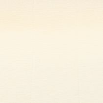 Artikel Bloemistencrêpepapier bloemistencrêpe champagne 50×250cm 5 stuks