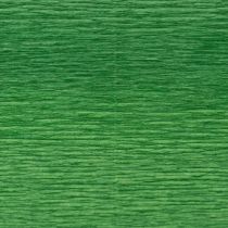 Artikel Bloemist Crêpepapier Groen 50x250cm