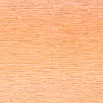 Artikel Bloemist crêpepapier zalm 50x250cm