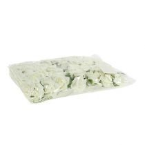 Artikel Schuimroos Ø3,5cm Crème 48 stuks