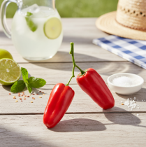 Artikel Rode kunstpaprika's op takgroentedecoratie L8cm