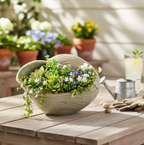 Artikel Keramische schaal met schelpmotief voor een elegante decoratie in de woonkamer, 23 cm