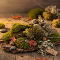 Artikel Decoratief mos om te knutselen, gemengd groen en lichtgroen natuurmos, 75 g