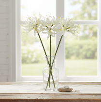 Artikel Nerine Guernsey Lelie Kunstbloem Wit Geel Ø15cm L65cm