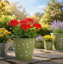 Artikel Zilvergroene plantenbak, metalen bloempot met sterren, Ø14cm