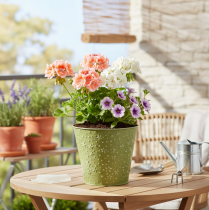 Artikel Metalen bloempot, plantenbak, sterren, groen en zilver, Ø16cm