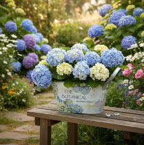 Artikel Ovale metalen bloemenvaas met handvatten, voor hortensia's, 32×15×15 cm