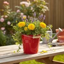 Artikel Decoratieve metalen emmer/plantenbak, rood, Ø22cm, H21,5cm, 6L