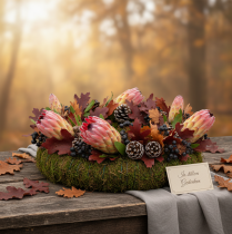 Artikel Compacta Roze 25 st