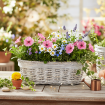 Artikel Bloempot in mandvorm met folie-inzetstuk, ovaal, wit, 37 cm