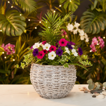 Artikel Ronde gevlochten mand, grote decoratieve plantenmand, 23 cm