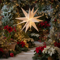 Artikel LED-ster Kerstster Warm Wit Timer Buiten 60cm