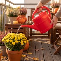 Artikel 5 liter gieter