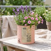 Artikel Bloempot decoratief blik van zalmkleurig metaal, zomerdecoratie Ø11cm H10.5cm