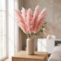 Artikel Gedroogd Pampasgras Roze 65-75cm Gedroogde Bloemendecoratie 6 st.