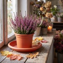 Artikel Onderzetter “Linda” Ø24cm terracotta