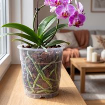 Artikel Bloempot voor orchideeën transparant Ø15cm 10st
