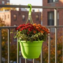 Artikel Hangmand 25cm groen