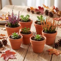 Artikel Bloempot van klei, Ø5cm, hoogte 4cm, 10 stuks