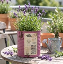 Artikel Vintage plantenbak, decoratieve paarse metalen doos, zomerdecoratie Ø11cm H10.5cm