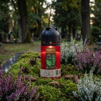 Artikel Grafkaars Rood ICP Composteerbare Herdenkingskaars H20cm