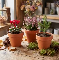 Artikel Bloempot van klei Ø9cm hoog 8cm 10 stuks