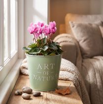 Artikel Zinken bloempot, mintgroen, Ø15cm, H13,5cm