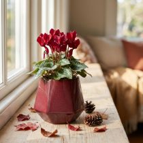 Artikel Bloempot Keramiek Rood Zeshoekig Ø10cm H9cm