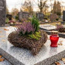 Artikel Plantenschaal hart begraafplaats, wijnhart om te planten 15cm 2st