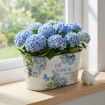 Artikel Bloemenschaal ovale hortensia's kunststof schaal 21,5×12,5cm H11cm