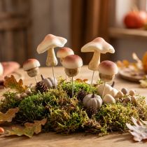Artikel Decoratieve paddenstoelen voor het plakken van bruine decoratieve paddenstoelen herfst 3,5/5,5cm 16 stuks