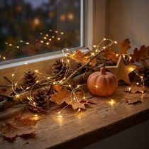 Artikel Micro lichtketting LED buiten / binnen 120 warm wit