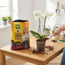 Artikel FRUX Orchideeëngrond (5 liter)