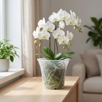 Artikel Kunststof pot “Irys” transparant Ø17cm 1 st