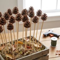 Artikel Chipsticks 40cm naturel 200 stuks