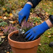 Artikel Kixx Tuinhandschoenen Blauw, Zwart Maat 10