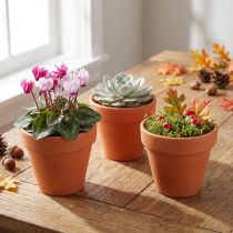 Artikel Bloempot klei Ø6cm hoog 5cm 10st