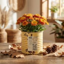 Artikel Decoratieve blikken plantenpot, zomerse abrikooskleur, metalen blik, Ø8cm H7,5cm