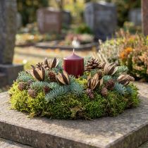 Artikel Wilde Lelie Natuurlijke Decoratie Exotische Gedroogde Bloemen 6-8cm 50 stuks