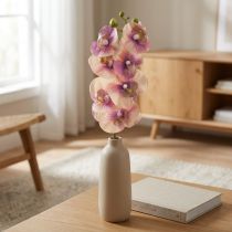 Artikel Orchidee Phalaenopsis kunst 7 bloemen paars crème 73cm
