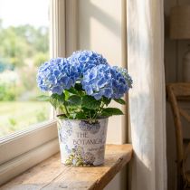 Artikel Plantenbak kunststof hortensia bloempot Ø13,5cm H12cm