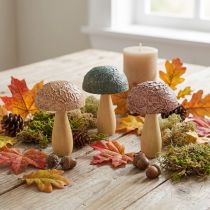 Artikel Houten paddenstoelen decoratieve paddenstoelen herfstdecoratie hout assorti 11×7,5cm 3st