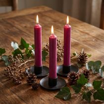 Artikel Kaarsen met korte stok waskaarsen in Berry 21×110mm 6 st