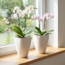 Artikel Kunststof bloempot, orchideeënpot, wit, 16,5 cm hoog, 2 stuks