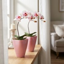 Artikel Bloempot, plastic vaas, orchideeënpot, roze, 16,5 cm hoog, 2 stuks