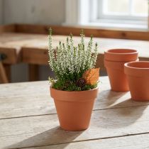 Artikel Bloempot klei Ø8cm hoog 7cm 10st
