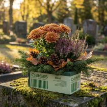 Artikel Nat steekschuim voor verse bloemen bloemstukken bakstenen